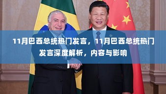 巴西总统热门发言深度解析,内容与影响探讨