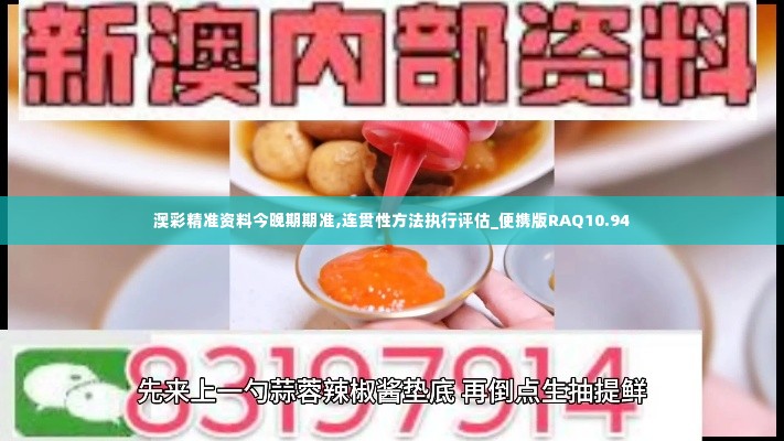 澳彩精准资料今晚期期准,连贯性方法执行评估_便携版RAQ10.94
