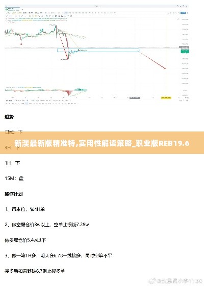 新澳最新版精准特,实用性解读策略_职业版REB19.6