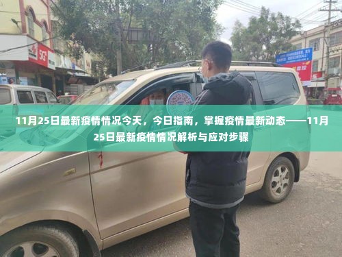 11月25日疫情最新动态解析,今日指南与应对步骤