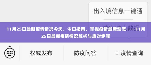 11月25日疫情最新动态解析,今日指南与应对步骤