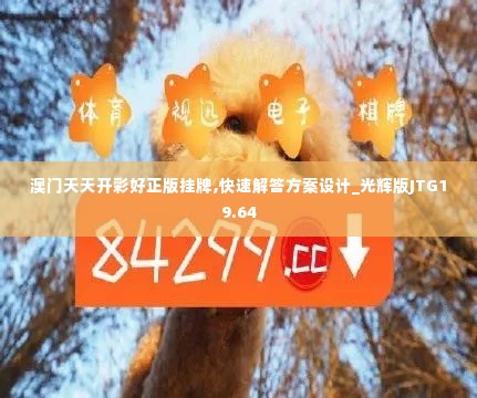 澳门天天开彩好正版挂牌,快速解答方案设计_光辉版JTG19.64