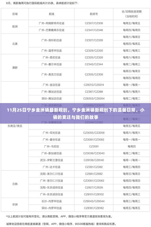 宁乡金洲镇新规划揭秘,小镇变迁与温馨日常的故事