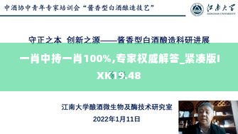 一肖中持一肖100%,专家权威解答_紧凑版IXK19.48