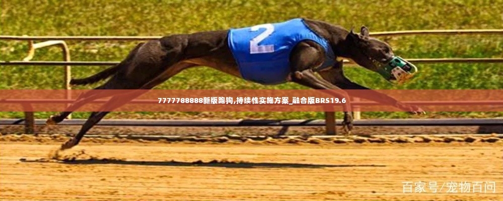 7777788888新版跑狗,持续性实施方案_融合版BRS19.6