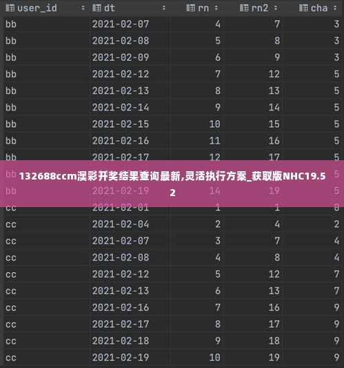 132688ccm澳彩开奖结果查询最新,灵活执行方案_获取版NHC19.52