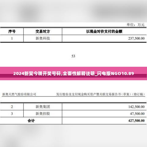 2024新奥今晚开奖号码,全面性解释说明_闪电版NGO10.89