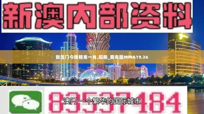 新澳门今晚精准一肖,船舶_商务版MMA19.36
