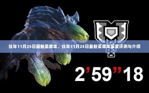 往年11月25日圣盾龙深度解析与评测报告