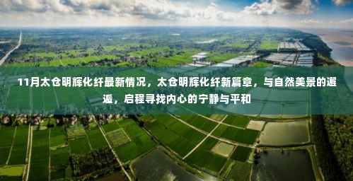 太仓明辉化纤新篇章,与自然美景的邂逅与内心的宁静探索之旅