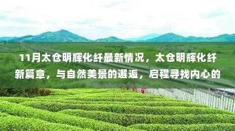 太仓明辉化纤新篇章,与自然美景的邂逅与内心的宁静探索之旅