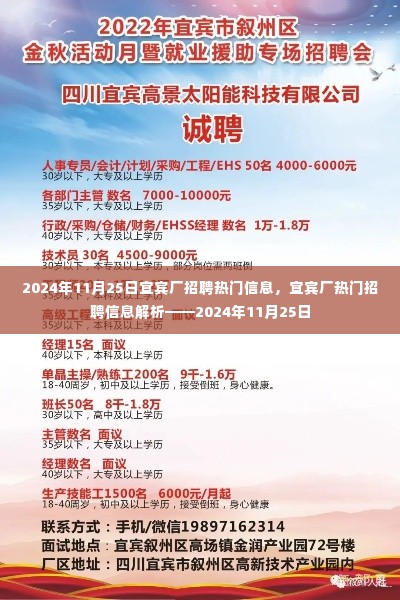 宜宾厂招聘热门信息解析,最新招聘信息速递(2024年11月25日)