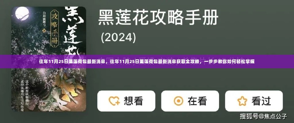 往年11月25日墨莲荷包最新消息大全,获取攻略与步骤