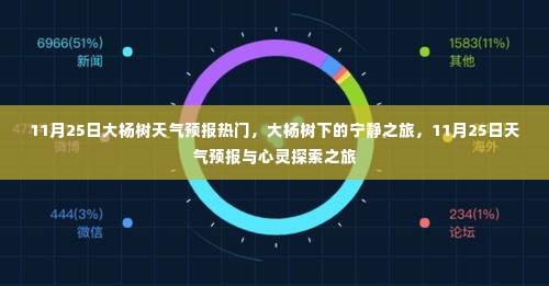 11月25日大杨树天气预报与宁静心灵探索之旅