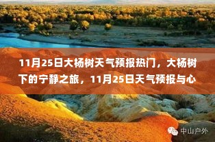 粗心大意 第5页