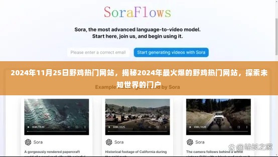 揭秘,2024年最火爆野鸡热门网站——探索未知世界的门户
