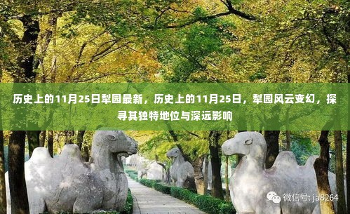 历史上的11月25日犁园风云,独特地位与深远影响探寻