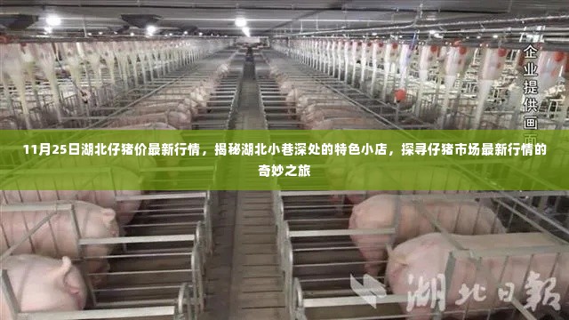 湖北仔猪市场最新行情揭秘,小巷深处的特色小店与奇妙之旅探寻记