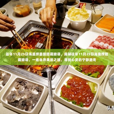 揭秘往年11月25日海底捞隐藏暗语,心灵港湾的自然美景之旅