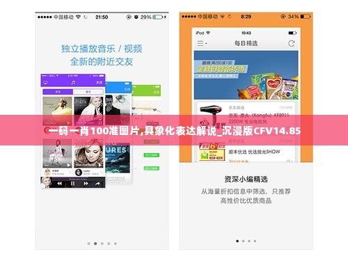 一码一肖100准图片,具象化表达解说_沉浸版CFV14.85
