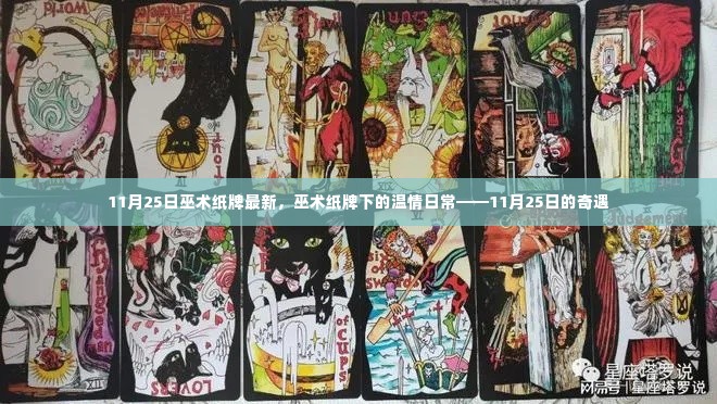 巫术纸牌下的奇遇,11月25日的温情日常揭秘