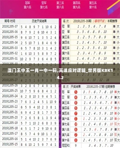 澳门王中王一肖一中一码,高速应对逻辑_世界版KBK14.2