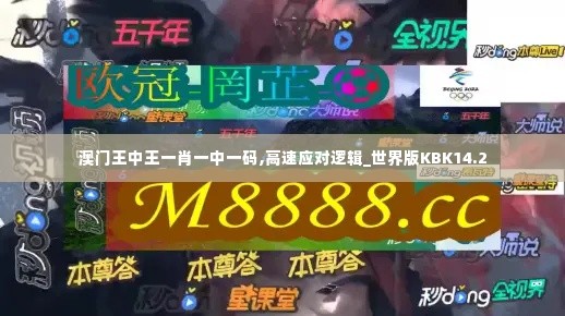 澳门王中王一肖一中一码,高速应对逻辑_世界版KBK14.2