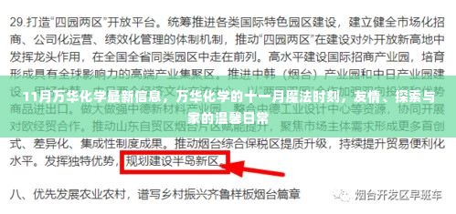 万华化学十一月魔法时刻,友情、探索与家的温馨日常