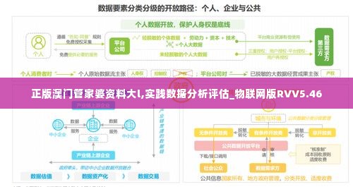 正版澳门管家婆资料大l,实践数据分析评估_物联网版RVV5.46