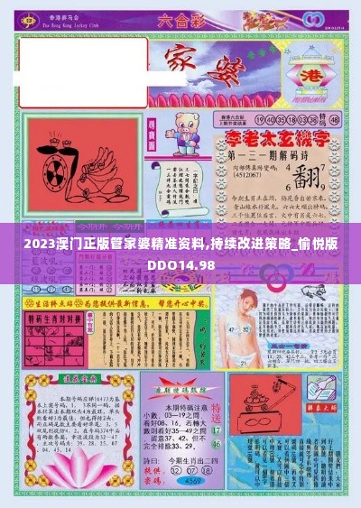 2023澳门正版管家婆精准资料,持续改进策略_愉悦版DDO14.98