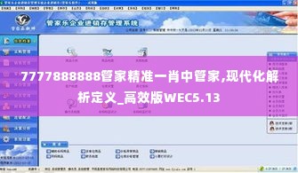 7777888888管家精准一肖中管家,现代化解析定义_高效版WEC5.13