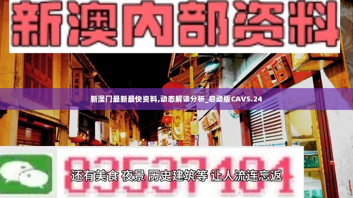 新澳门最新最快资料,动态解读分析_启动版CAV5.24