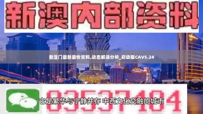 新澳门最新最快资料,动态解读分析_启动版CAV5.24