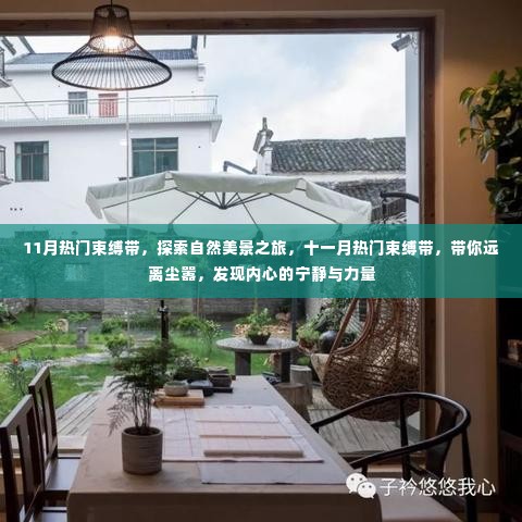 十一月热门束缚带，探索自然美景，寻找内心宁静与力量之旅