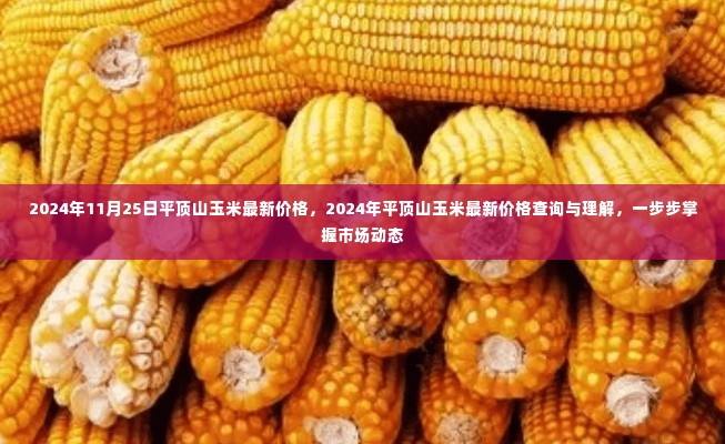 平顶山玉米最新价格动态,掌握市场走势与查询指南(2024年11月)