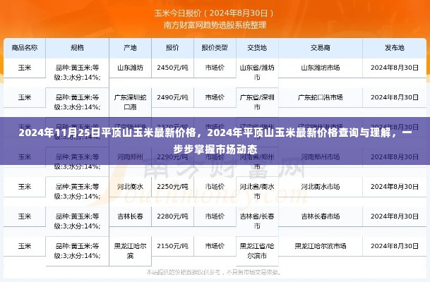 平顶山玉米最新价格动态,掌握市场走势与查询指南(2024年11月)
