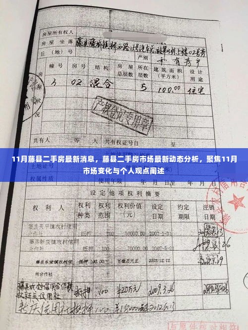 藤县二手房市场11月最新动态解析,市场变化与个人观点聚焦