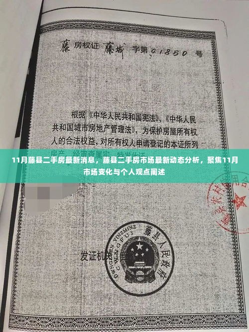 藤县二手房市场11月最新动态解析,市场变化与个人观点聚焦