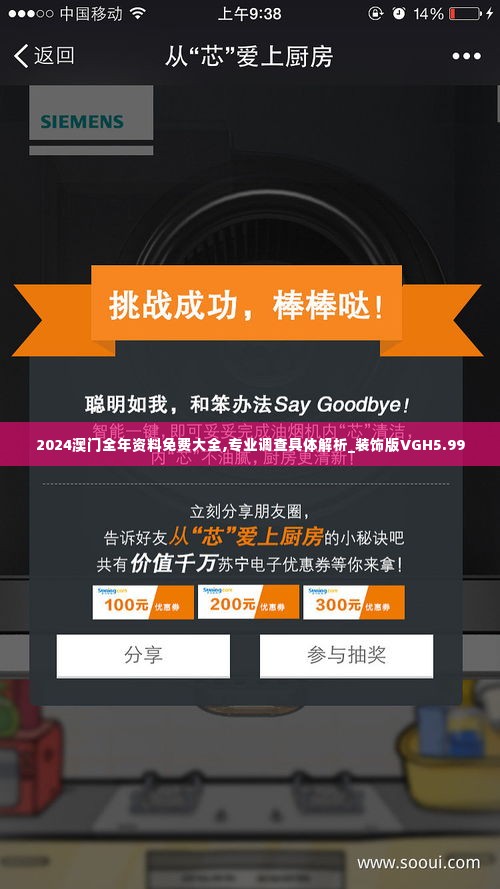 2024澳门全年资料免费大全,专业调查具体解析_装饰版VGH5.99