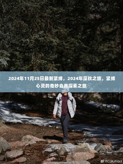 2024深秋紧缚之旅,心灵与自然的美妙探索