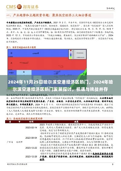 2024年哈尔滨空港经济区机遇与挑战并存,热门发展探讨