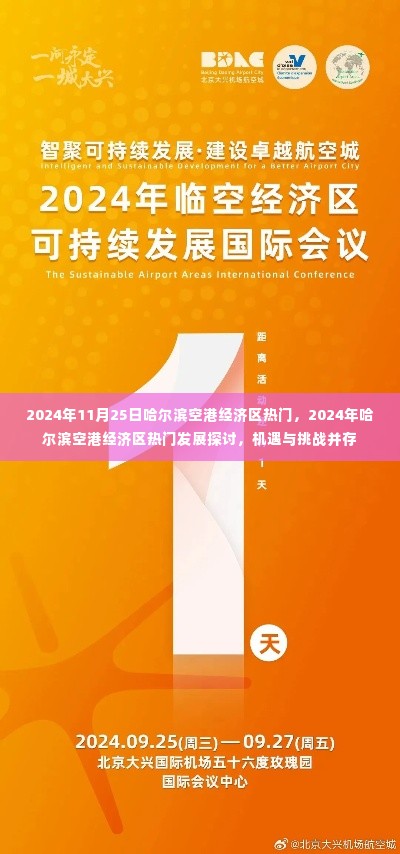 2024年哈尔滨空港经济区机遇与挑战并存,热门发展探讨