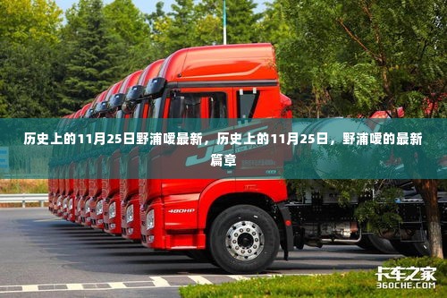历史上的11月25日,野浦嗳最新篇章揭秘