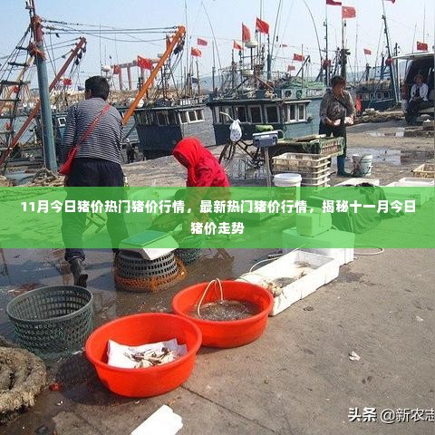 百不一遇 第3页