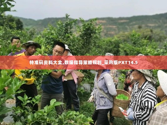 特准码资料大全,数据指导策略规划_采购版PXT14.5