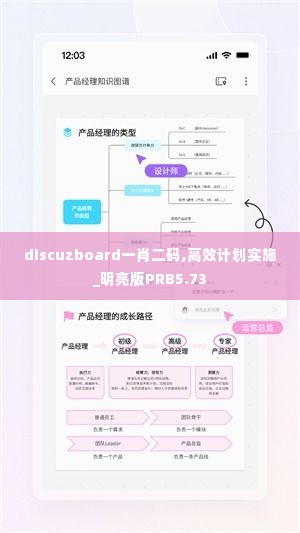 discuzboard一肖二码,高效计划实施_明亮版PRB5.73