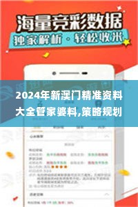 2024年新澳门精准资料大全管家婆料,策略规划_随机版HXG14.81