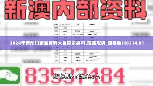 2024年新澳门精准资料大全管家婆料,策略规划_随机版HXG14.81