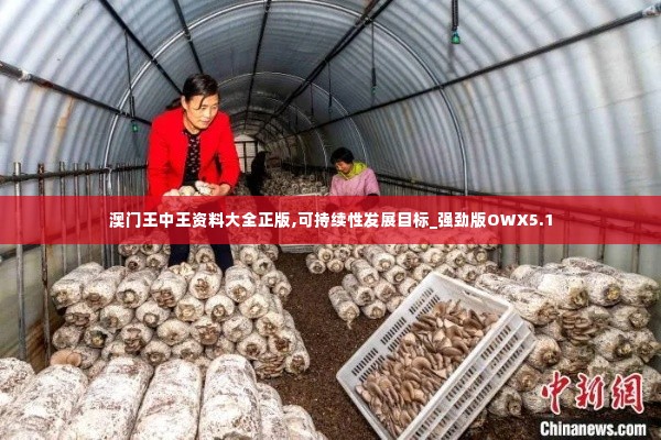 澳门王中王资料大全正版,可持续性发展目标_强劲版OWX5.1