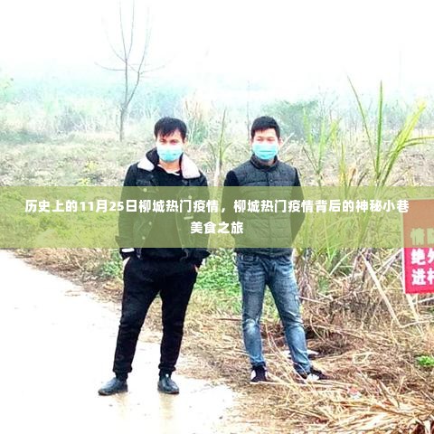 柳城疫情背后的神秘小巷美食之旅,历史与美食的双重探寻